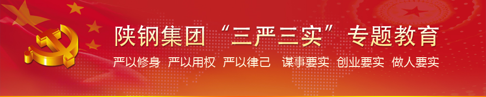 龍鋼集團“兩學一做”教育活動專題
