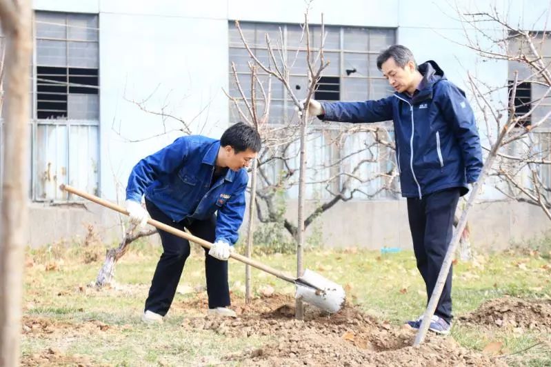  植樹育苗 綠化家園——西鋼、紅光物流公司開展春季植樹活動(dòng)