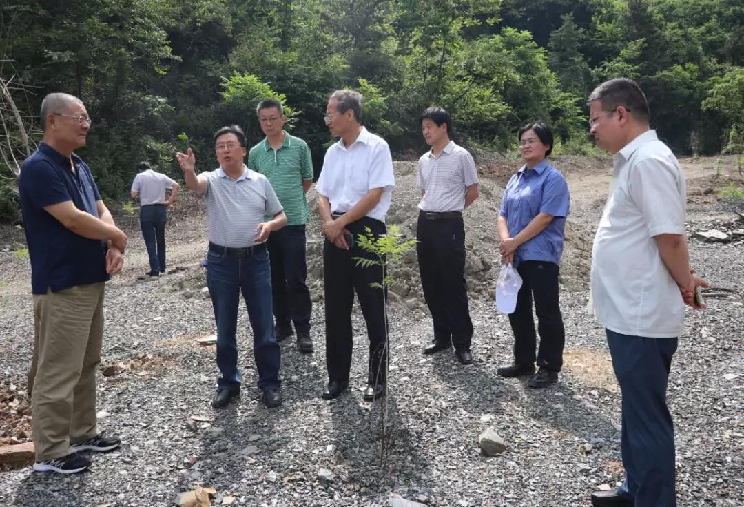 國家自然資源部咨詢研究中心調研組到大西溝礦業(yè)公司調研