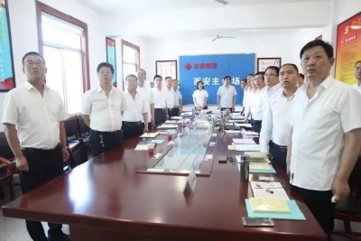 黨旗引領(lǐng)堅守初心　擔當使命砥礪前行——龍鋼集團2019年黨建工作綜述