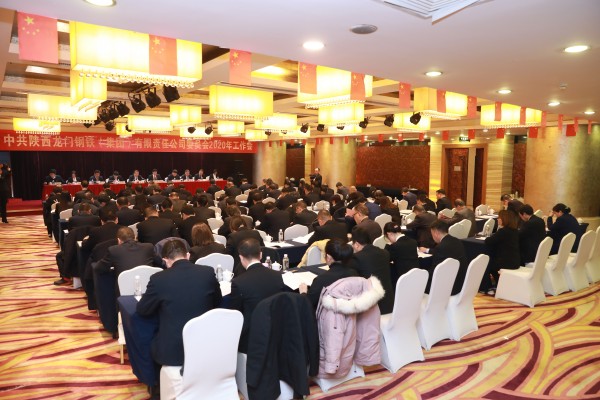 龍鋼集團(tuán)公司黨委召開2020年工作會議