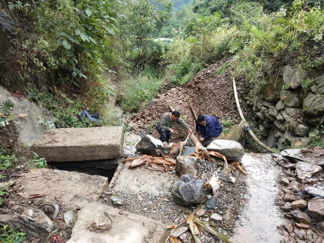 做本職、助和諧、促提升