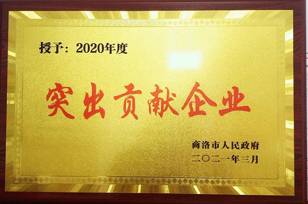 大西溝礦業(yè)公司獲商洛市“2020年度突出貢獻(xiàn)企業(yè)獎”殊榮